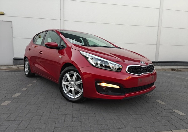 Kia Ceed cena 38900 przebieg: 156500, rok produkcji 2016 z Mieszkowice małe 631